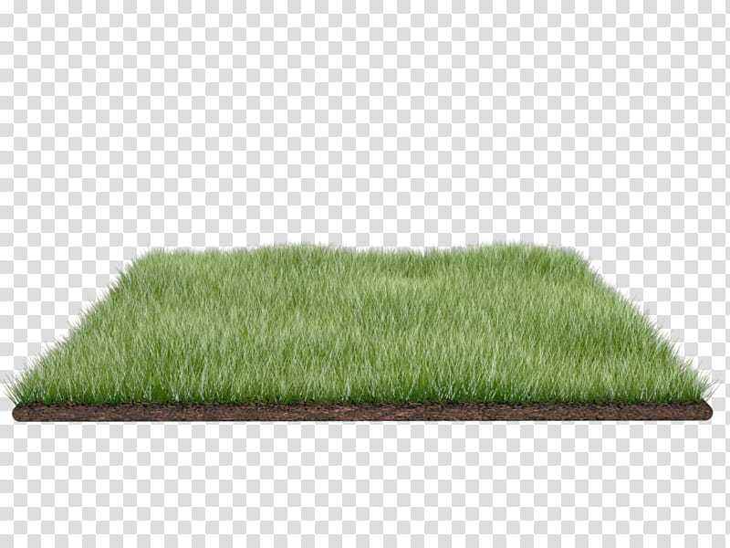 Green Grass, Rendering, Lawn, Plant, Flooring, Artificial Turf, Fur, Grassland transparent background PNG clipart