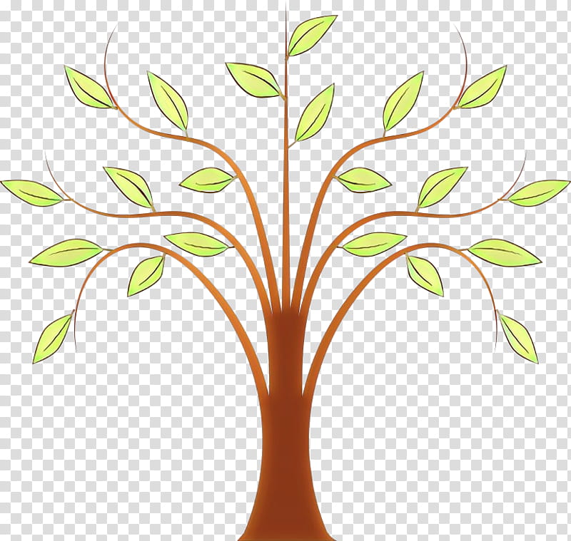Weeping Willow Tree Drawing, Cartoon, Branch, Oak, Willow Oak, Weeping Tree, Leaf, Plant transparent background PNG clipart