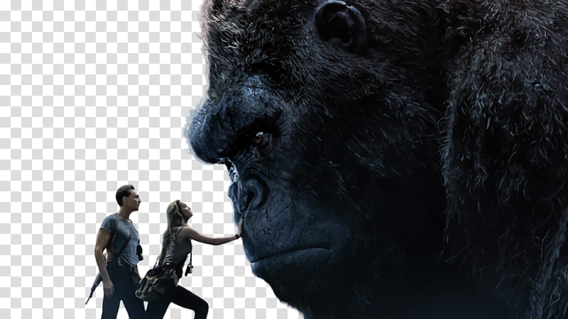 Skull Art, King Kong, Ape, Film, Monster, Uzbek Language, Kong Skull Island, Tom Hiddleston transparent background PNG clipart