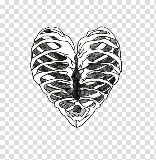 Hipge , heart-shaped ribs art transparent background PNG clipart