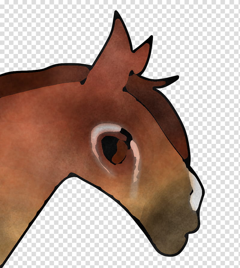 face nose horse head snout, Mane, Brown, Cartoon, Eye transparent background PNG clipart