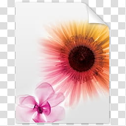 Windows Live For XP, orange and red flowers painting transparent background PNG clipart