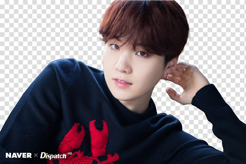 BTS XMAS DISPATCH  transparent background PNG clipart