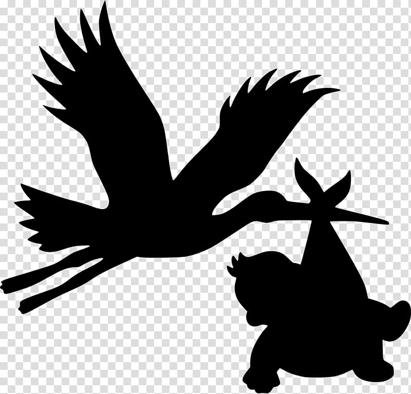 Bird Silhouette, Beak, Landfowl, Bird Of Prey, Character, Wing, Raven, Perching Bird transparent background PNG clipart
