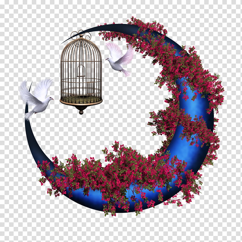 crescent , white birds flying near birdcage illustration transparent background PNG clipart