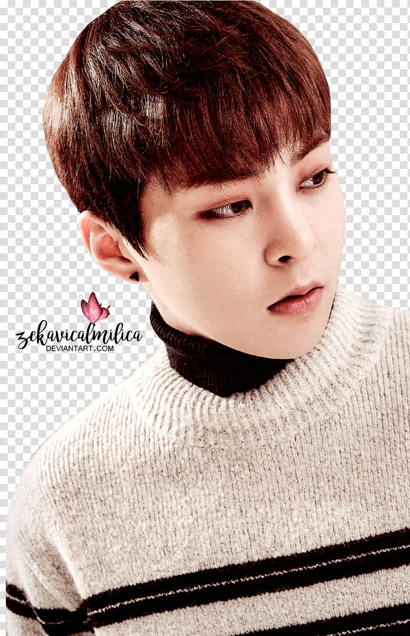 EXO Xiumin  Season Greetings transparent background PNG clipart