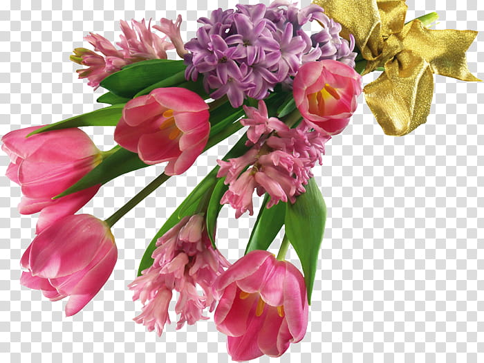 Sweet Pea Flower, Tulip, Flower Bouquet, Cut Flowers, Frames, Pink, Plant, Petal transparent background PNG clipart