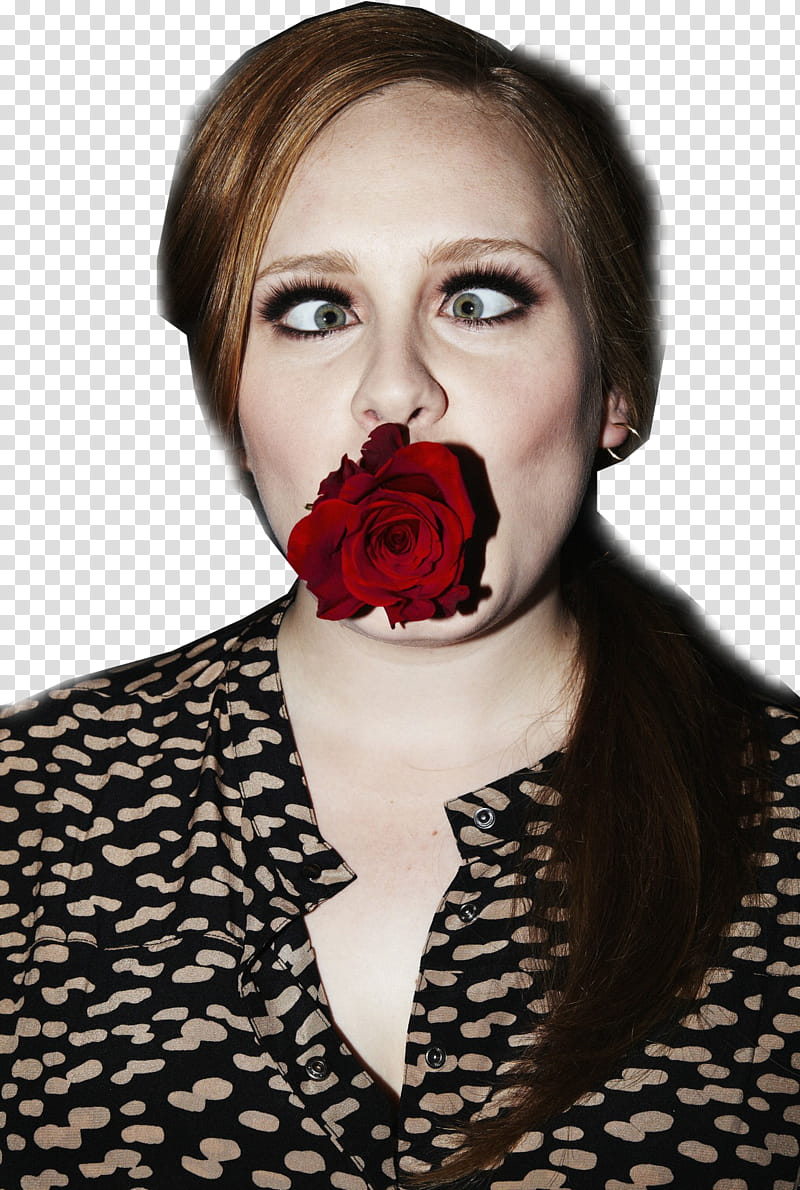 Adele transparent background PNG clipart