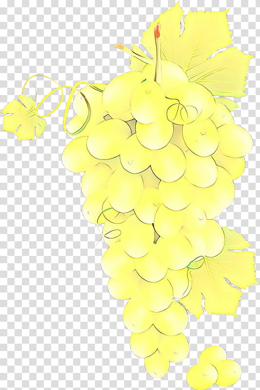 Floral Leaves, Grape, Floral Design, Yellow, Grapevine Family, Vitis, Plant, Seedless Fruit transparent background PNG clipart