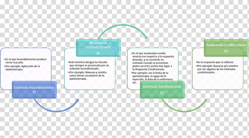 Management Text, Project, Workshop, Strategy, Minas Gerais, Computer Software, Diagram, System transparent background PNG clipart