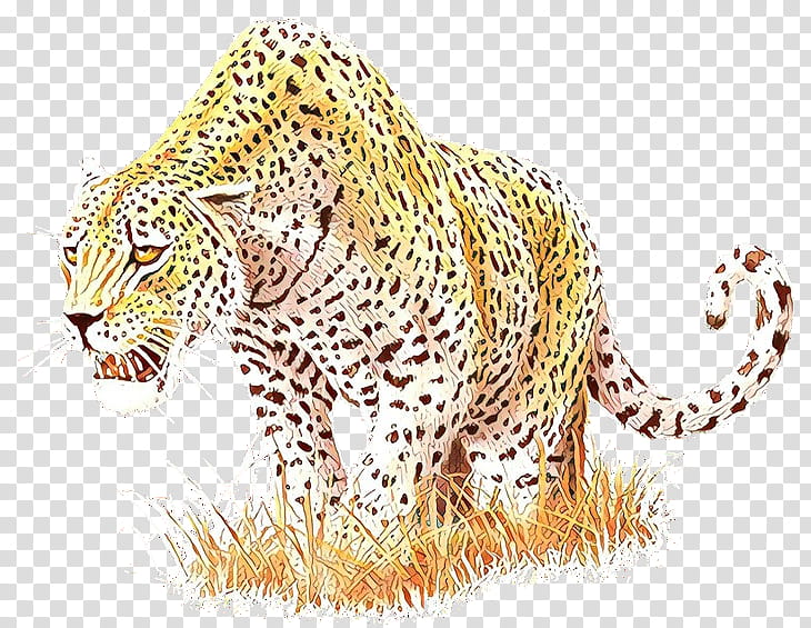 Cars, Leopard, Cheetah, Tiger, Ocelot, Snow Leopard, Whiskers, Snout transparent background PNG clipart