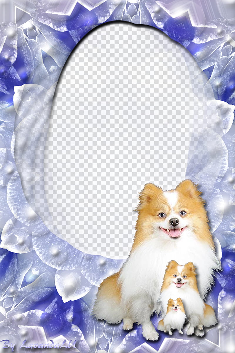 Lav Frame , Pomeranian-printed frame transparent background PNG clipart