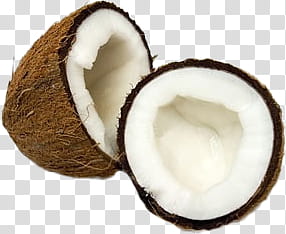 Summer , coconut transparent background PNG clipart