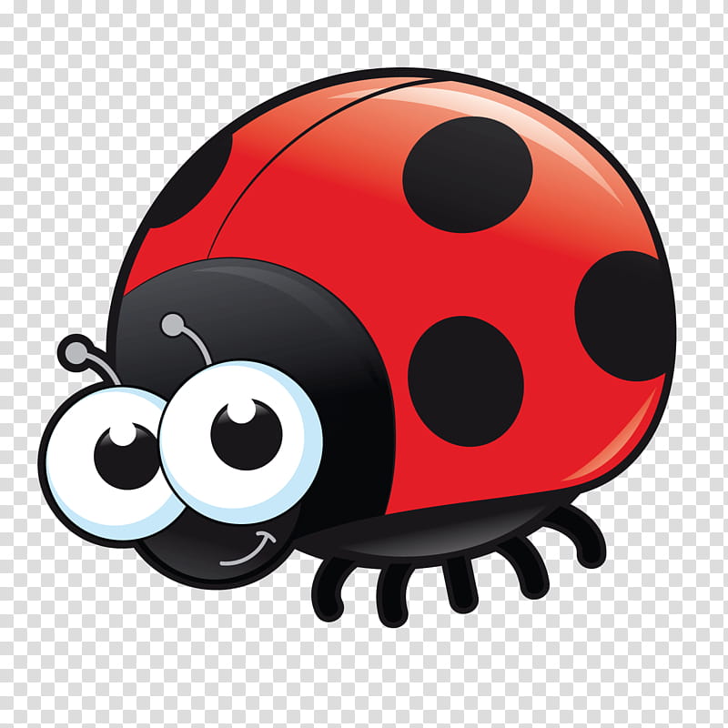 8 Best Ladybird drawing ideas | ladybird, ladybird drawing, ladybug