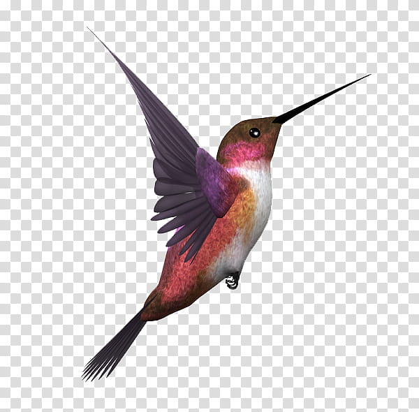 Cartoon Bird, Hummingbird, Pigeons And Doves, Bird Flight, Birdofparadise, Common Kingfisher, Beak, Flock transparent background PNG clipart