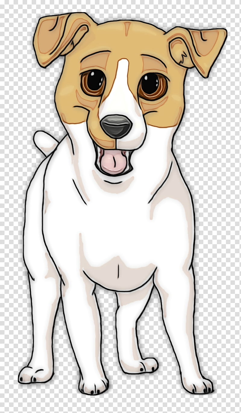 Rat, Jack Russell Terrier, Rat Terrier, Shih Tzu, Miniature Fox Terrier, Puppy, Beagle, Parson Russell Terrier transparent background PNG clipart