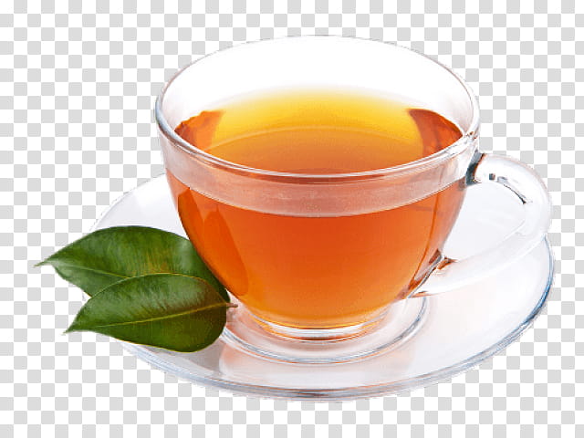 Winter, Tea, Cup, Teacup, Green Tea, Coffee Cup, Black Tea, Drink transparent background PNG clipart