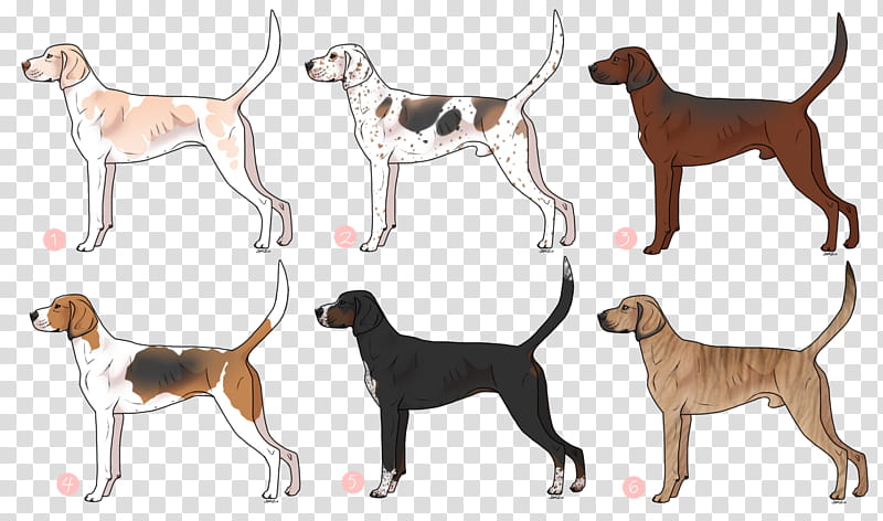 Dogs, English Foxhound, American English Coonhound, Miniature Pinscher, Black And Tan Coonhound, Malinois Dog, Worldly Dogs, Breed transparent background PNG clipart