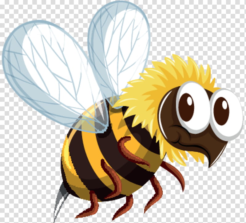Honey, Bee, Beehive, Bumblebee, Drawing, Honey Bee, Cartoon, Honeybee transparent background PNG clipart