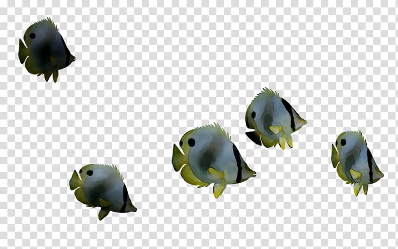 Fish, Aquarium Decor, Climbing Hold, Animal Figure transparent background PNG clipart