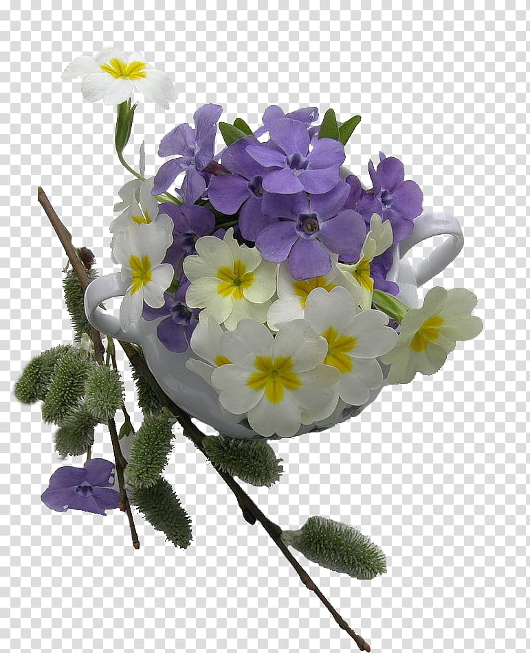 Flowers, Thursday, Daytime, , Smile, , Night, Morning transparent background PNG clipart