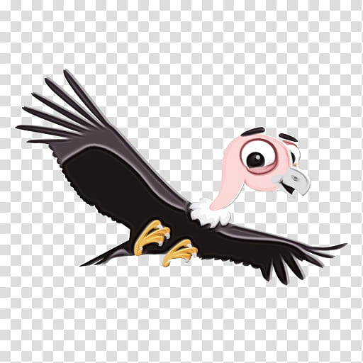 bird bird of prey vulture cartoon beak, Watercolor, Paint, Wet Ink, Andean Condor, California Condor transparent background PNG clipart