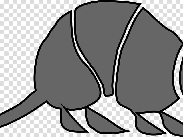 Book Drawing, Armadillo, Anteater, Tail, Line Art, Coloring Book, Blackandwhite transparent background PNG clipart