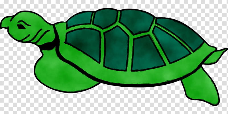 Sea Turtle Reptile Modern Sea Turtles Tortoise Pond Turtles Turtle Shell Drawing Animal Transparent Background Png Clipart Hiclipart,Murphy Beds