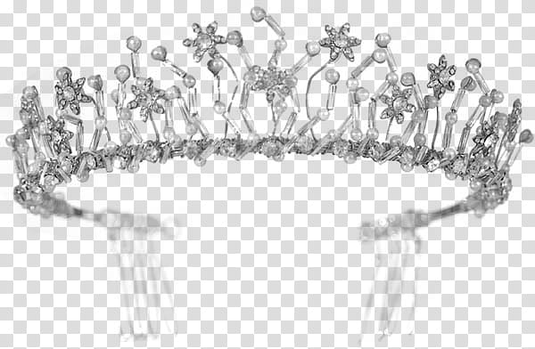 silver-colored and gray tiara illustration transparent background PNG clipart
