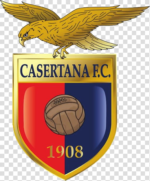 File:Bologna Football Club 1909 2016-17.jpg - Wikipedia