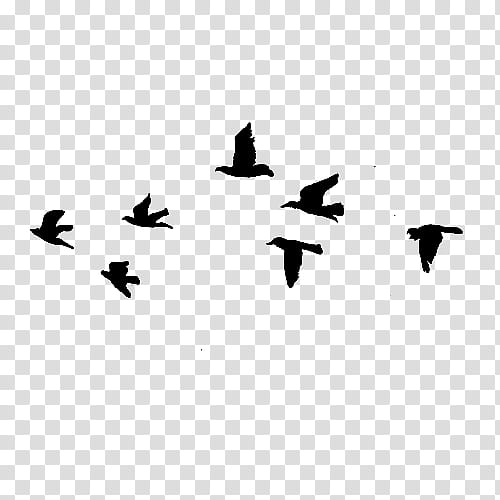 BRUSH FLYING BIRDS, flying black birds transparent background PNG clipart