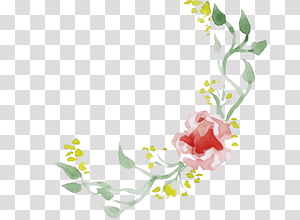 Watercolor Floral, Paint, Wet Ink, Decorative Arts, Decorative Borders, Floral Design, Flower, Download transparent background PNG clipart thumbnail