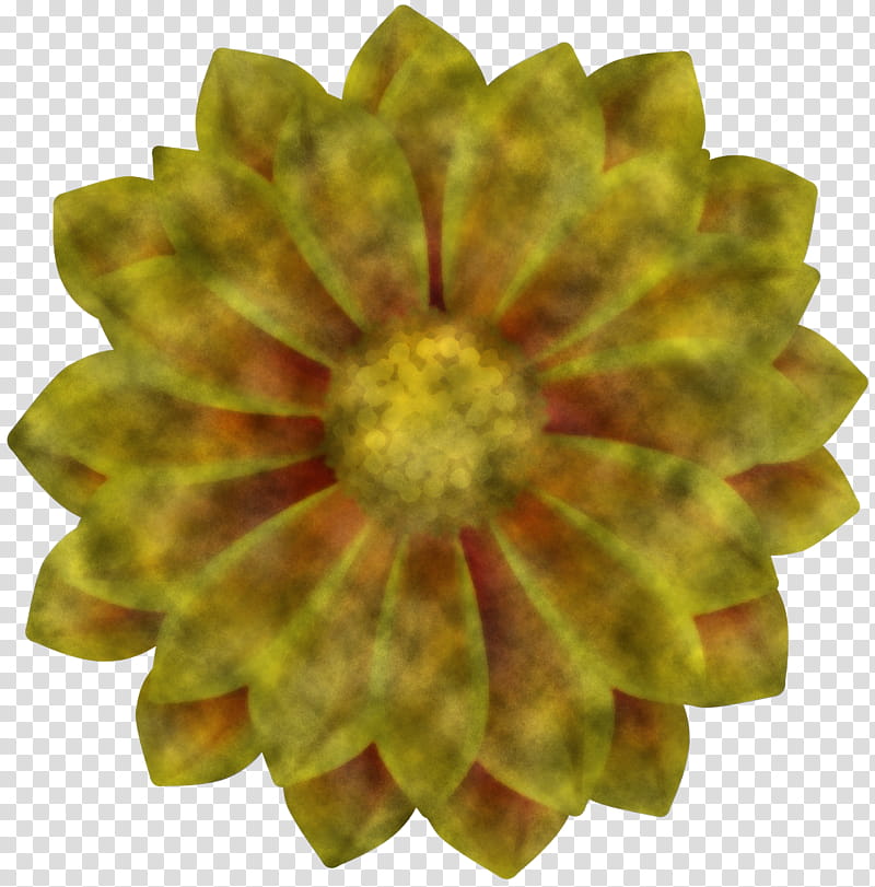 sunflower, Yellow, Leaf, Plant, Petal, Perennial Plant transparent background PNG clipart