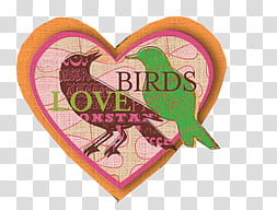 , orange, pink, and green Love Birds illustration transparent background PNG clipart
