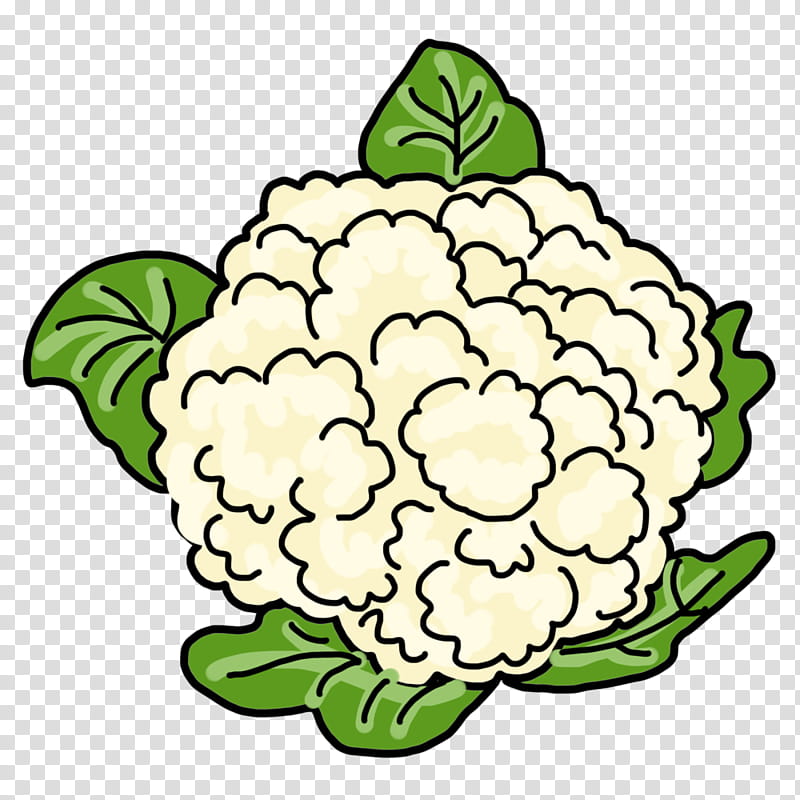 How to draw cauliflower easy step by step | cauliflower drawing easy -  YouTube