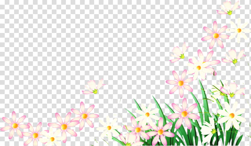 Pink Flower, Floral Design, Pink M, Computer, Branching, Spring Framework, Plants, Spring transparent background PNG clipart