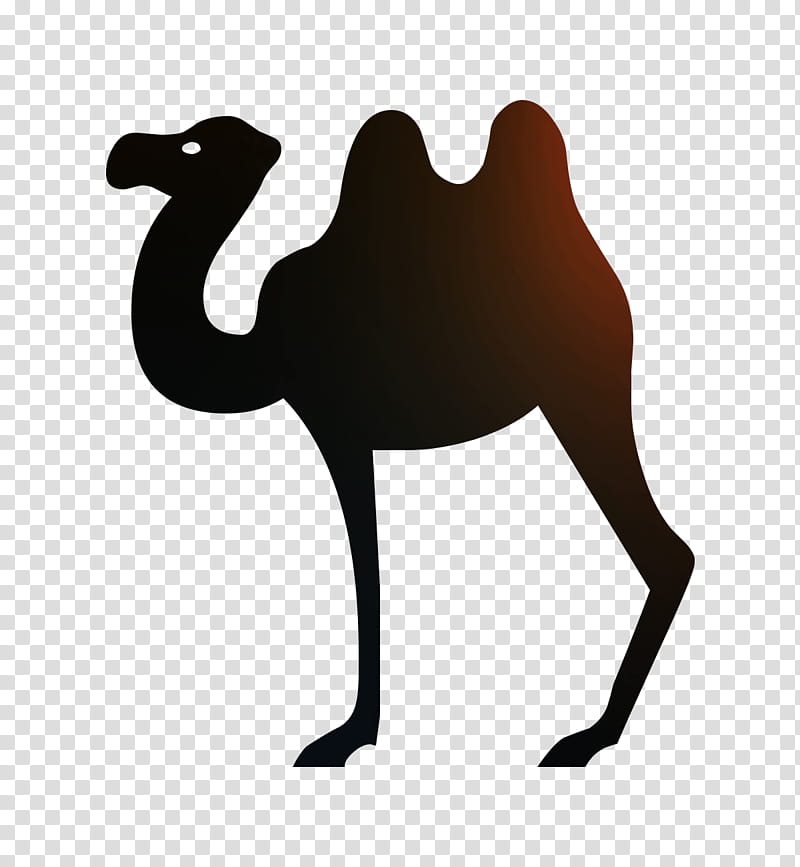 Car, Decal, Sticker, Bumper Sticker, Wall Decal, Die Cutting, Camel, Camelid transparent background PNG clipart