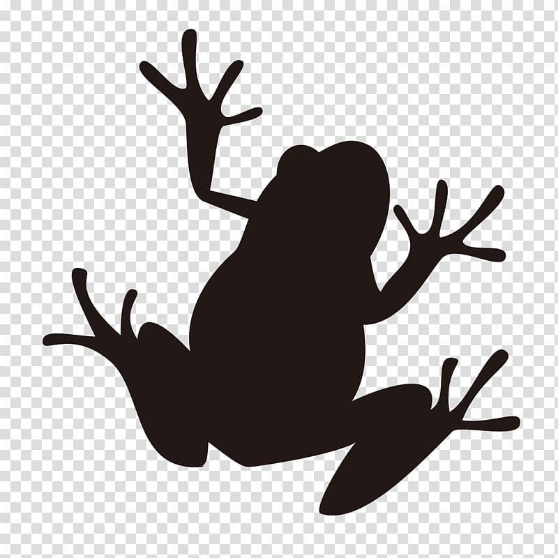 Tree Branch Silhouette, Frog, Amphibians, Portrait, Tree Frog, Animal, Rain, Antler transparent background PNG clipart