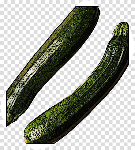 Summer Vegetarian, Cucumber, Spreewald Gherkins, Zucchini, Armenian Cucumber, Cucumber M, Vegetable, Summer Squash transparent background PNG clipart