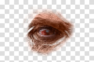 Halloween app Zombie Camera, eye_00023 transparent background PNG clipart thumbnail