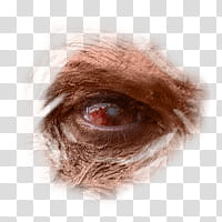 Halloween app Zombie Camera, eye_ transparent background PNG clipart Halloween app Zombie Camera, eye_ transparent background PNG clipart