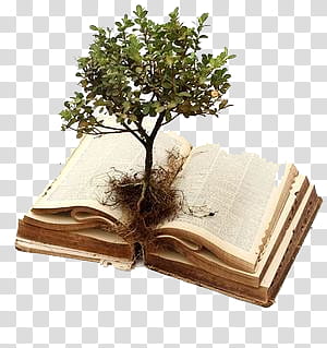 collection, plant on book transparent background PNG clipart