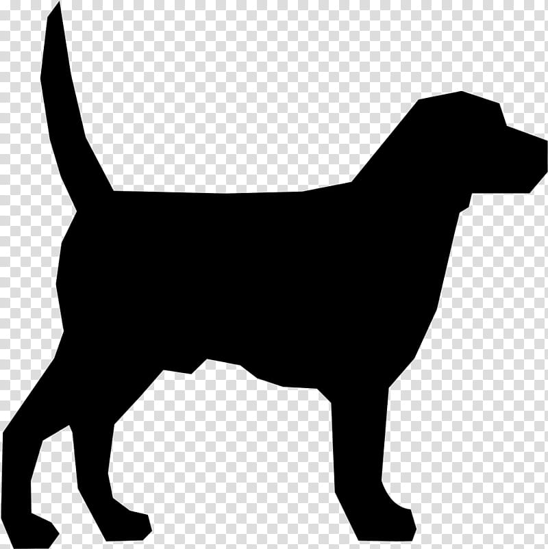 dog dog breed sporting group hunting dog, Jagdterrier transparent background PNG clipart