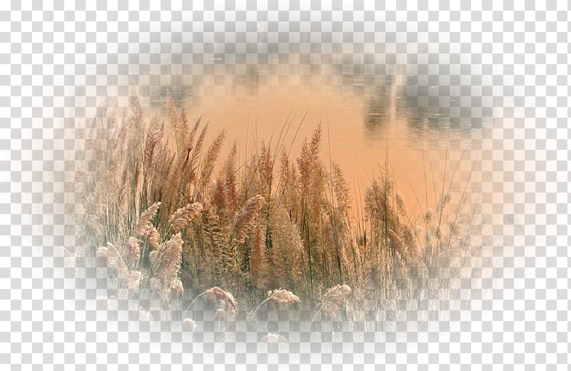 June, Week, Landscape, Month, Net, 2019, April 23, Atmospheric Phenomenon transparent background PNG clipart