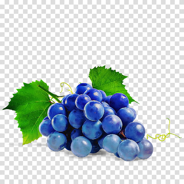 grape seedless fruit grapevine family berry fruit, Vitis, Plant, Blueberry, Grape Leaves, Superfood, Bilberry, Zante Currant transparent background PNG clipart