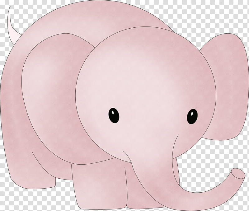 Elephant, Indian Elephant, African Elephant, Animal, Cartoon, Cover Art, Infant, Safari transparent background PNG clipart