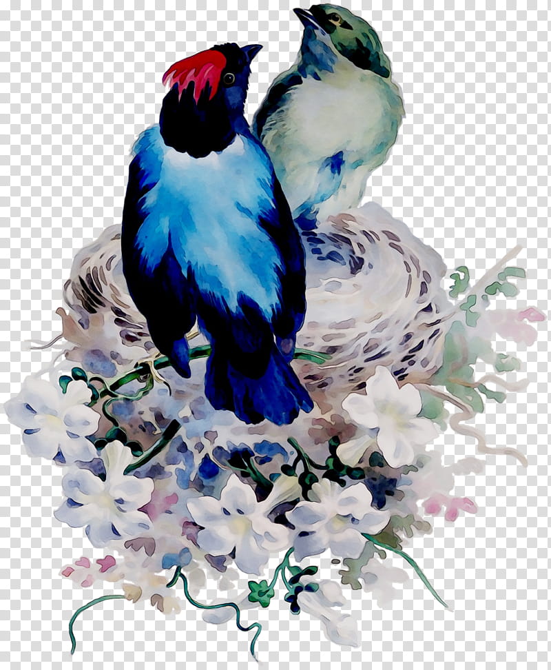 Watercolor, Blue Jay, Cobalt Blue, Beak, Feather, Bluebird Systems Inc, Bluebirds, Watercolor Paint transparent background PNG clipart