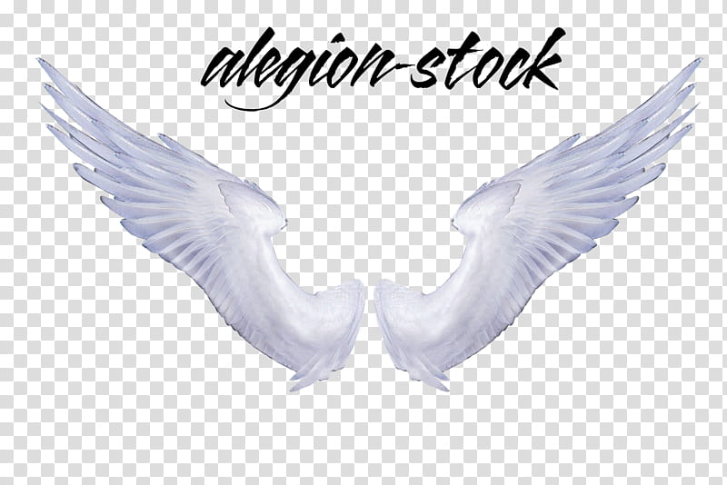 Angel Wings  , white wings transparent background PNG clipart