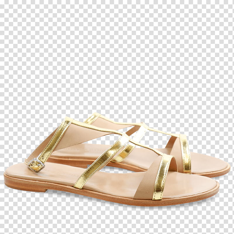 Shopping, Slipper, Shoe, Sandal, Boot, Highheeled Shoe, Ballet Flat, Switzerland, Slipon Shoe, Discounts And Allowances transparent background PNG clipart