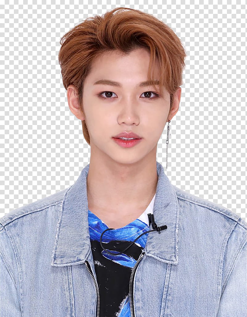 New Ade Stray Kids transparent background PNG clipart